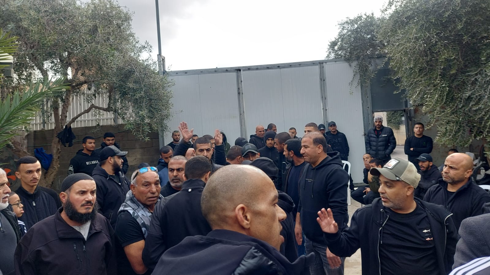 WhatsApp Image 2024-01-25 at 17.20.36 (1).jpeg